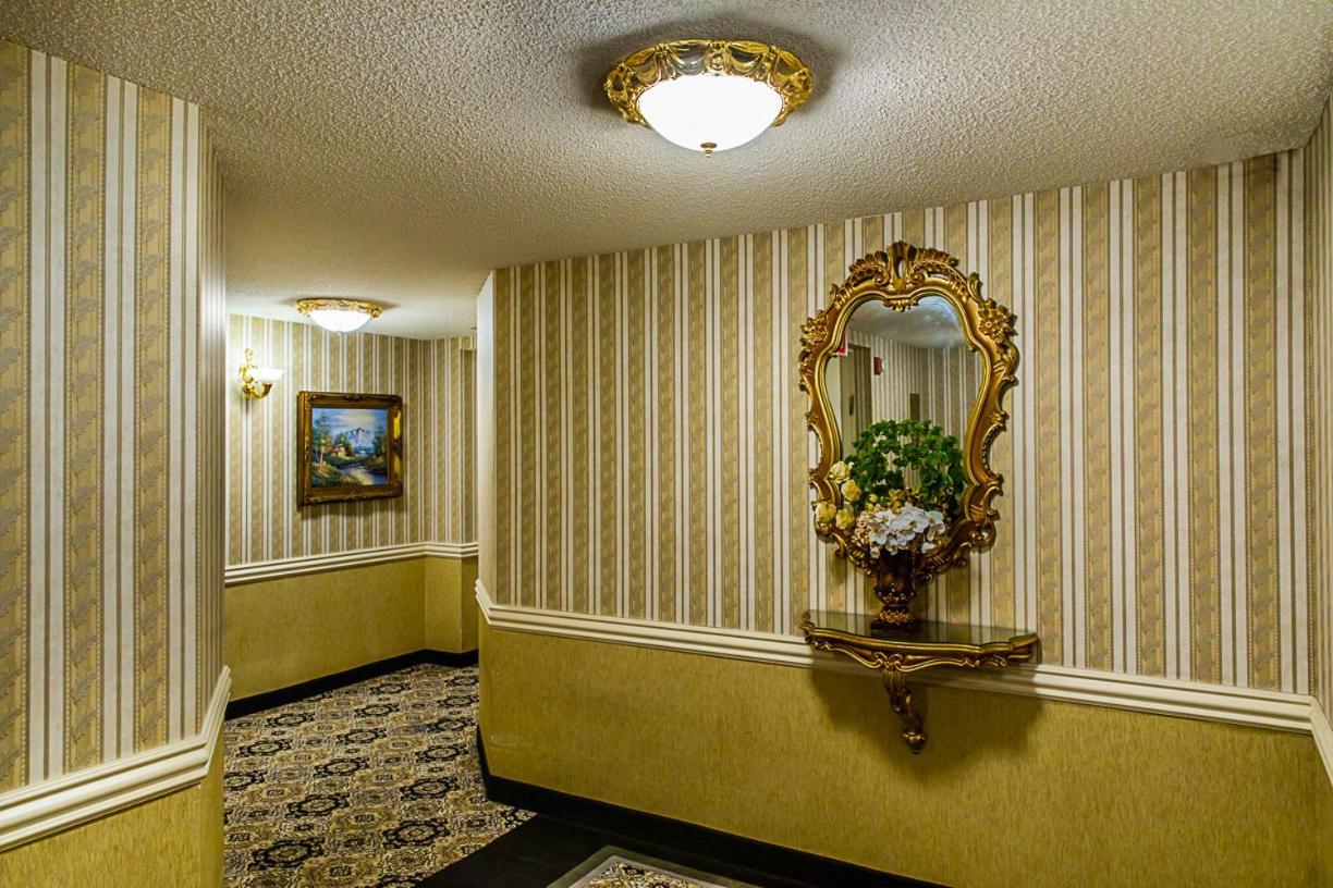 The Avenue Plaza Hotel New York Buitenkant foto